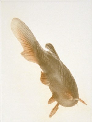 Memoire d'Eau V (Memory of Water)