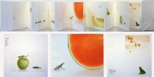 Rippling Fragrance  (book)