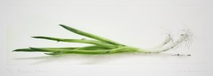 Poireaux d'Amano (Leeks)