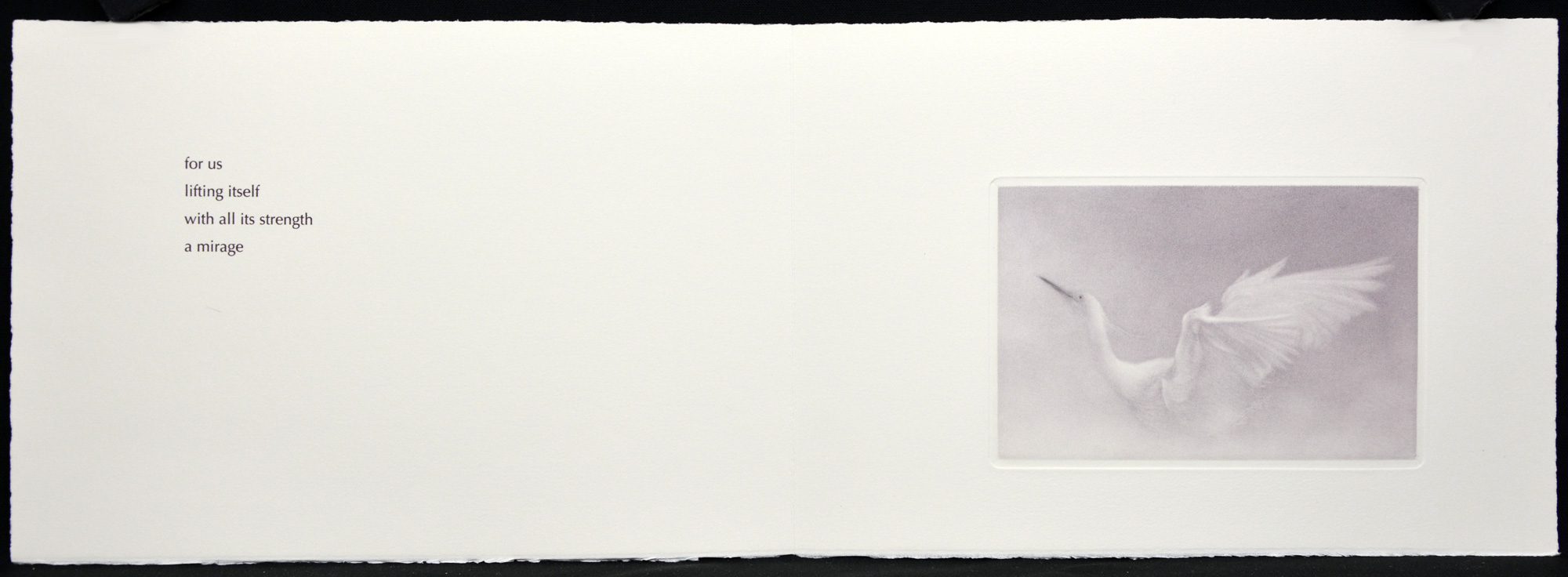 Mirage (book) - Image 3