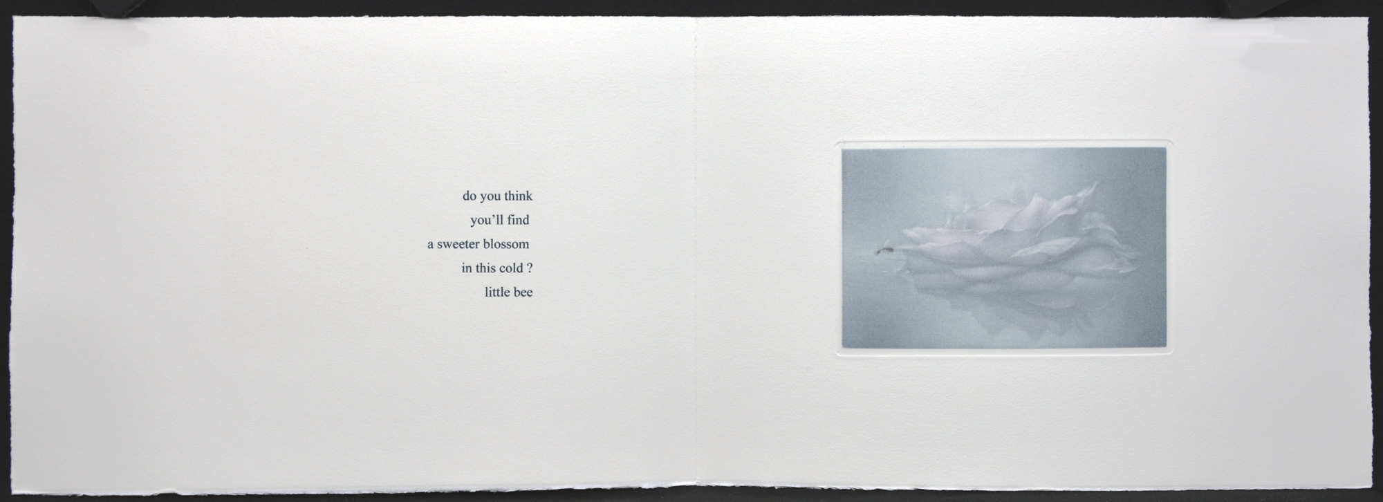 Mirage (book) - Image 5