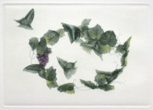 Kisvin Papillons (Butterflies)
