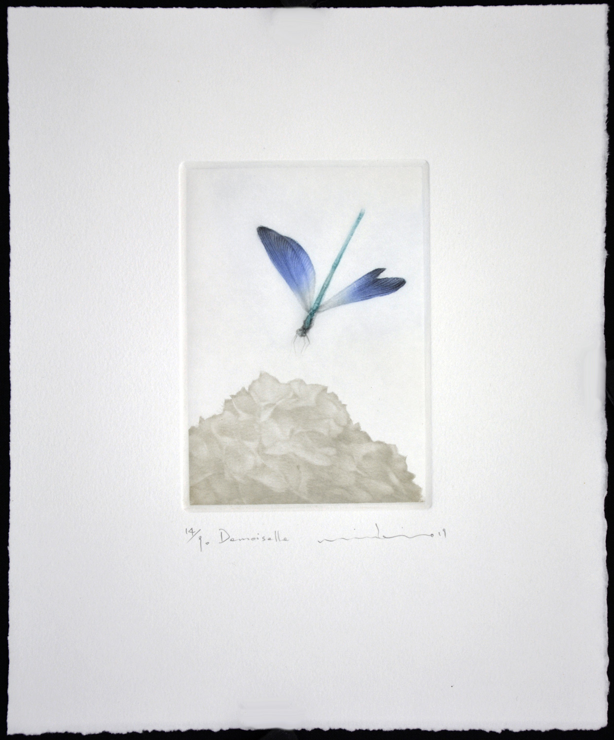 Demoiselle (Young Lady) - Image 2