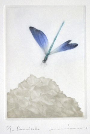 Demoiselle (Young Lady)