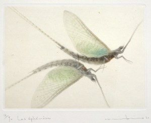 Les Ephemeres (Ephemeral)