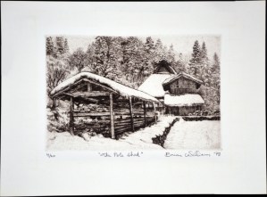 The Pole Shed