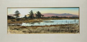 Cattail Sunset (Bodega Bay)