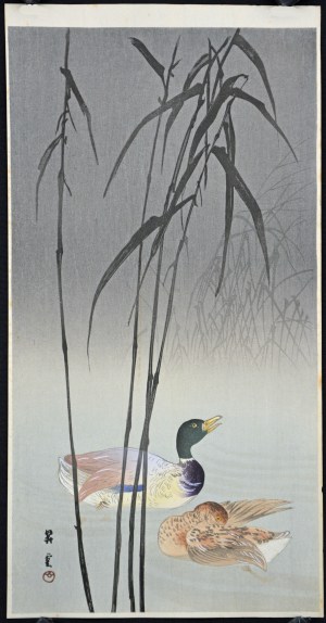 Mallard Ducks and Reeds