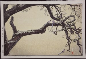 Plum Tree and Blue Magpie