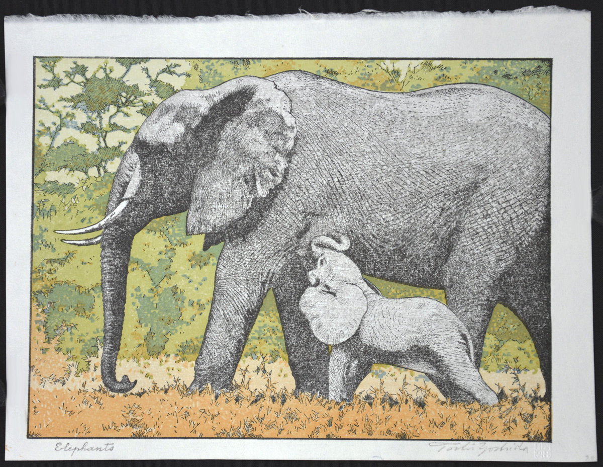 Elephants