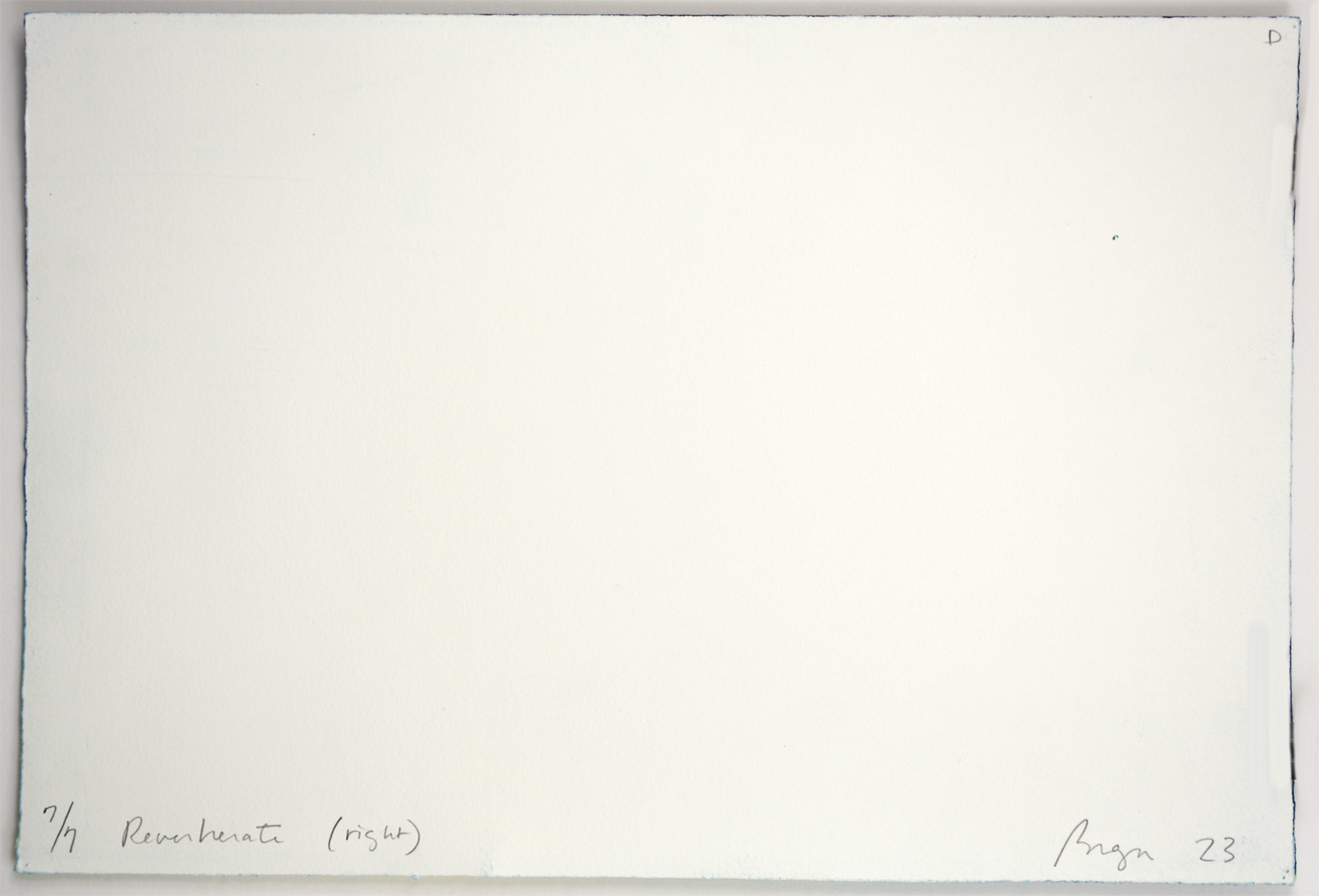 Reverberate - diptych - Image 5