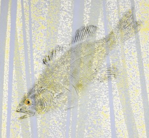 Small-mouth Bass in the Weeds