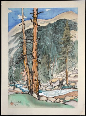 Upper Lyell Fork, near Lyell Glacier