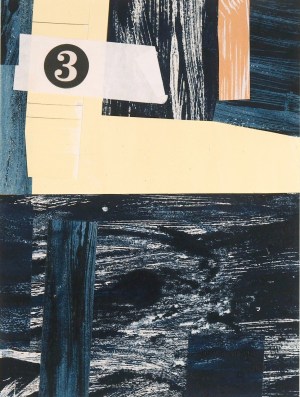 Untitled Collage No. 29 (Santa Rosa)