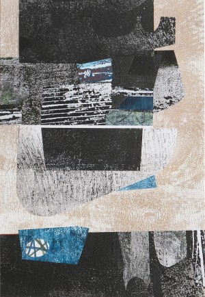 Untitled Collage No. 156 (Santa Rosa)