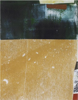 Untitled Collage No. 242 (Santa Rosa)
