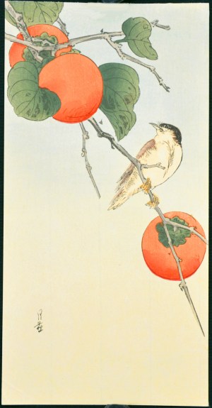 Bird and Persimmons