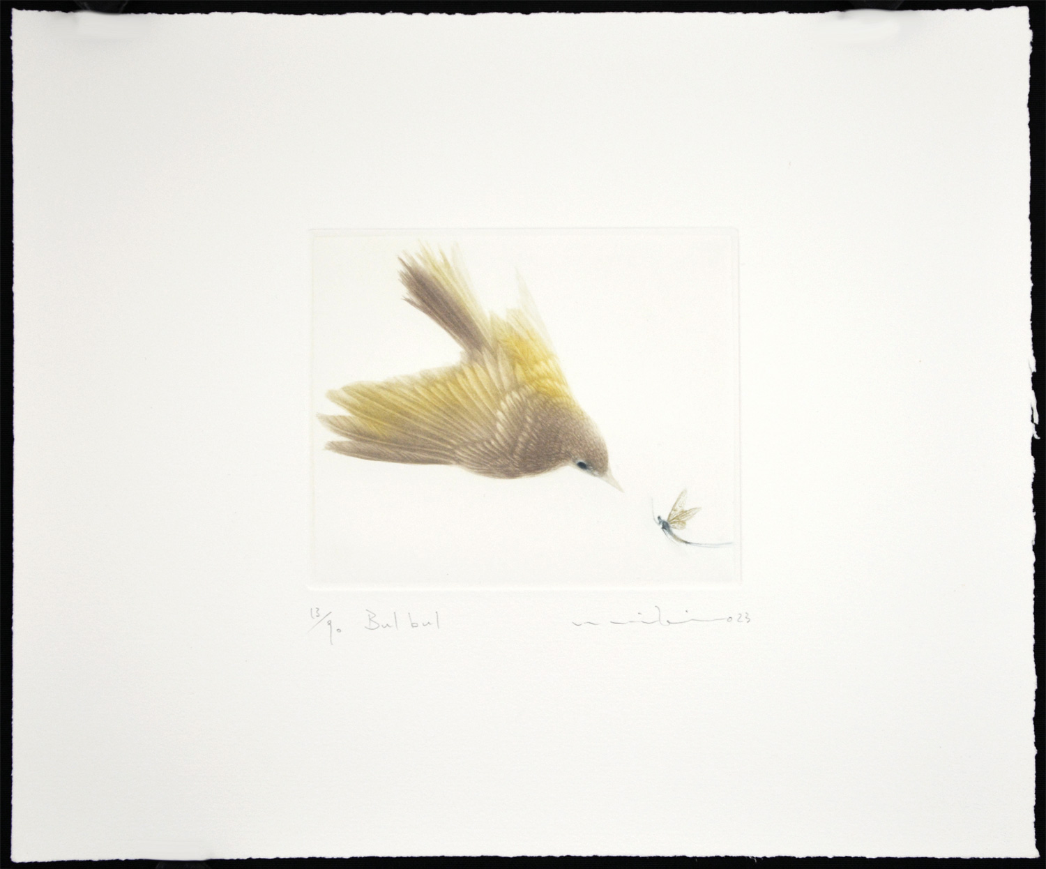 Bulbul - Image 2