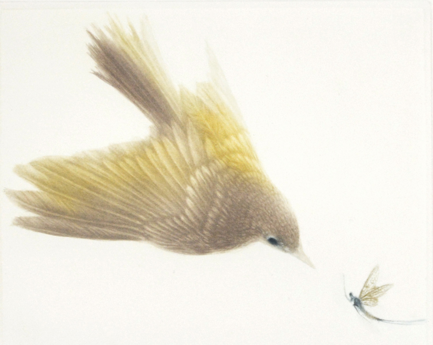 Bulbul