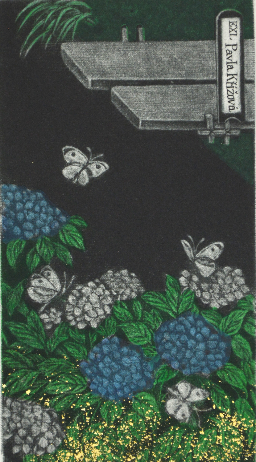 Hydrangea Garden (Ex Libris)