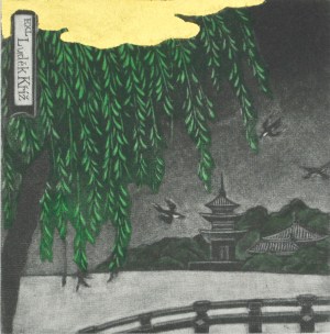 Willow Summer (Ex Libris)