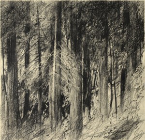 Avenue of the Giants