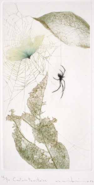 Certain territoire (Certain territory)