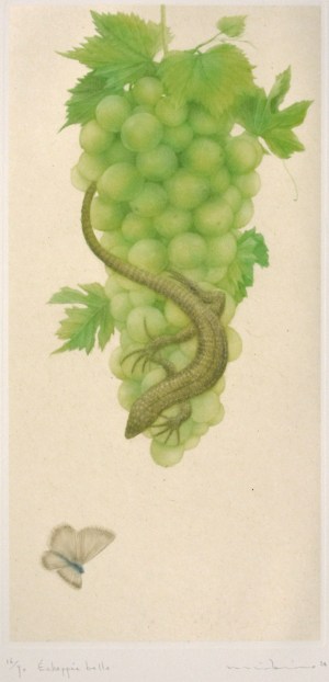 Echappée belle (Great escape)