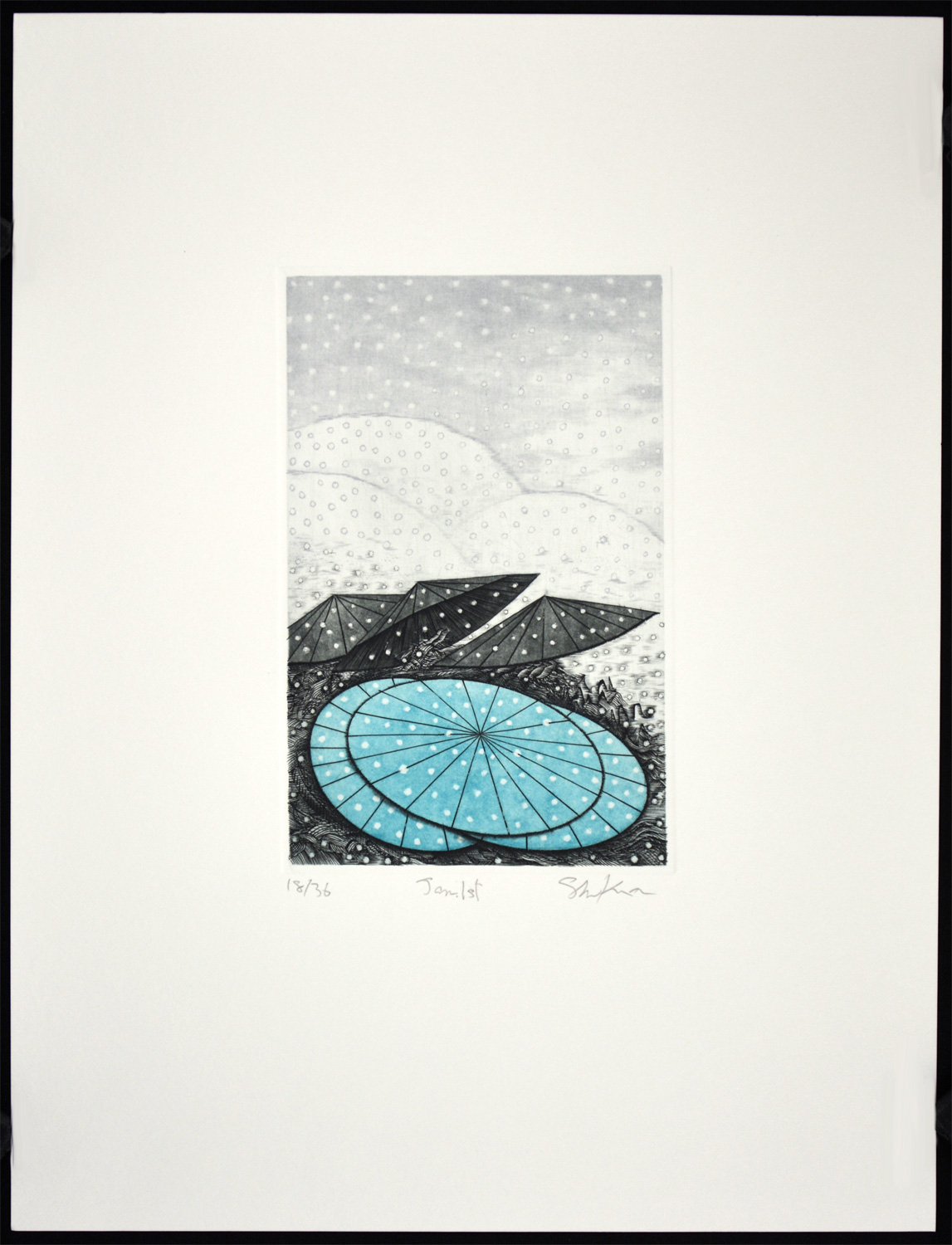 Jan. 1st - Image 2