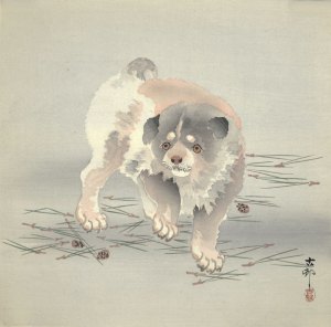 Puppy and Pine Needles