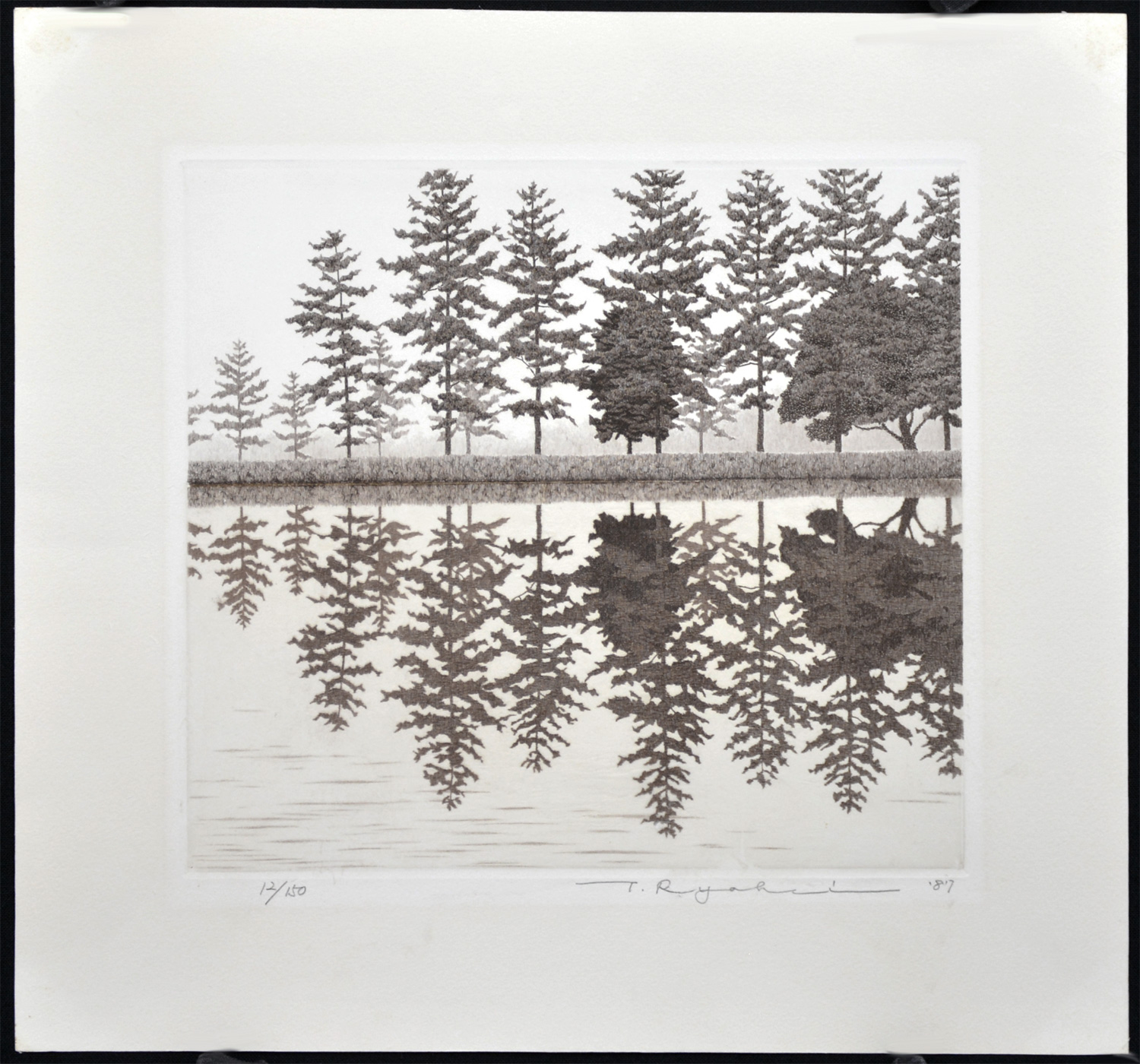 Reflection - Image 2
