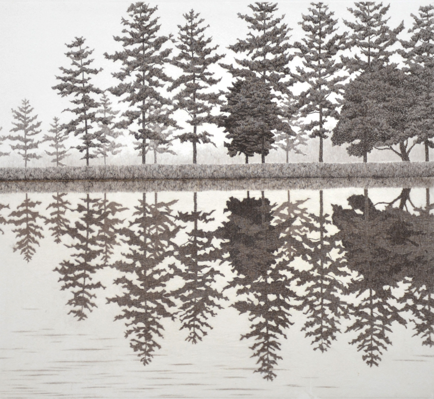 Reflection