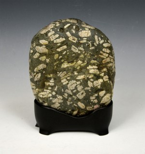 Chinese Calligraphy Stone Suiseki