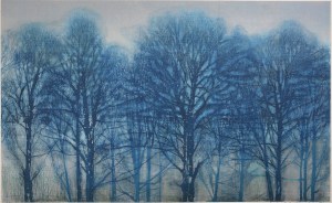 Forest (Blue)