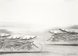 Bicycle in the Rain - F