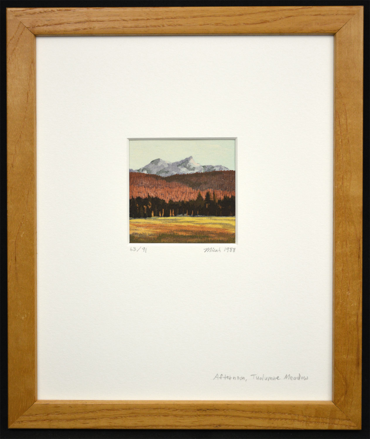 Afternoon, Tuolumne Meadow (Yosemite series) (framed)