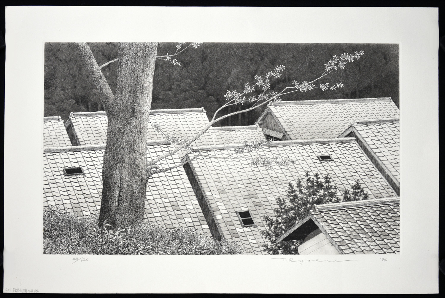 Roofs of Kurama Road - Image 2