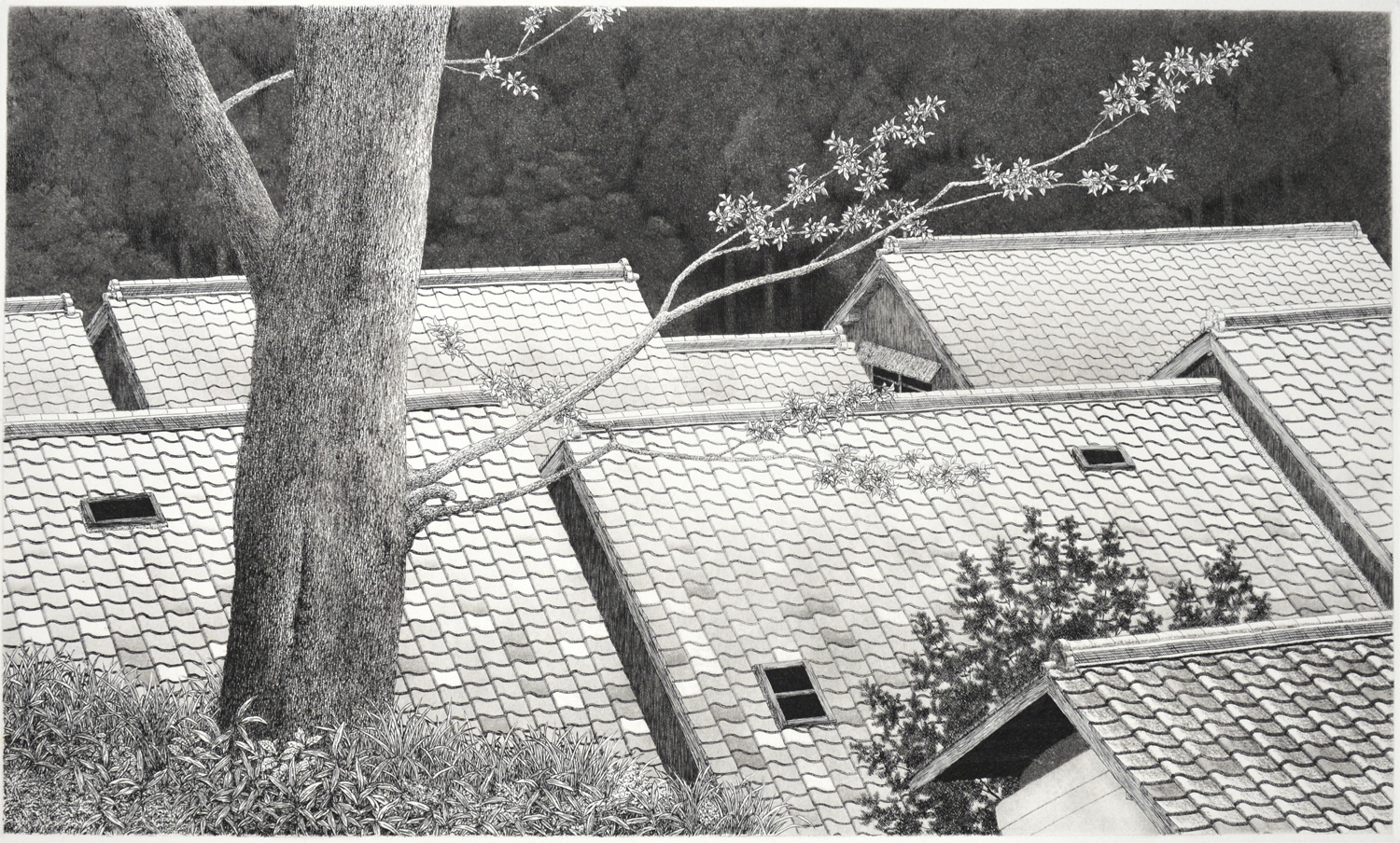 Roofs of Kurama Road
