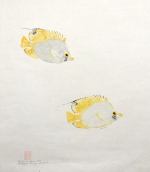 Butterflyfishes
