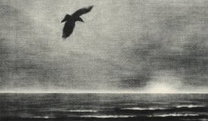 Tobi (fork-tailed kite)