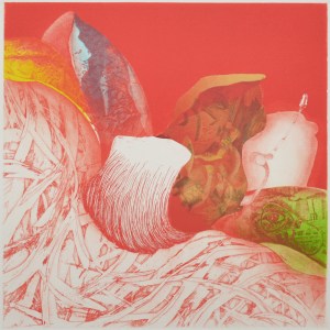 Lost Shape - wanderer