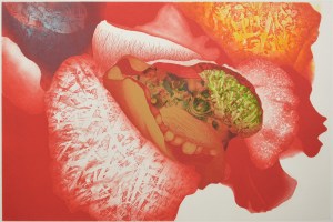 Lost Shape - withered shadow G