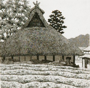 House in Tea Field