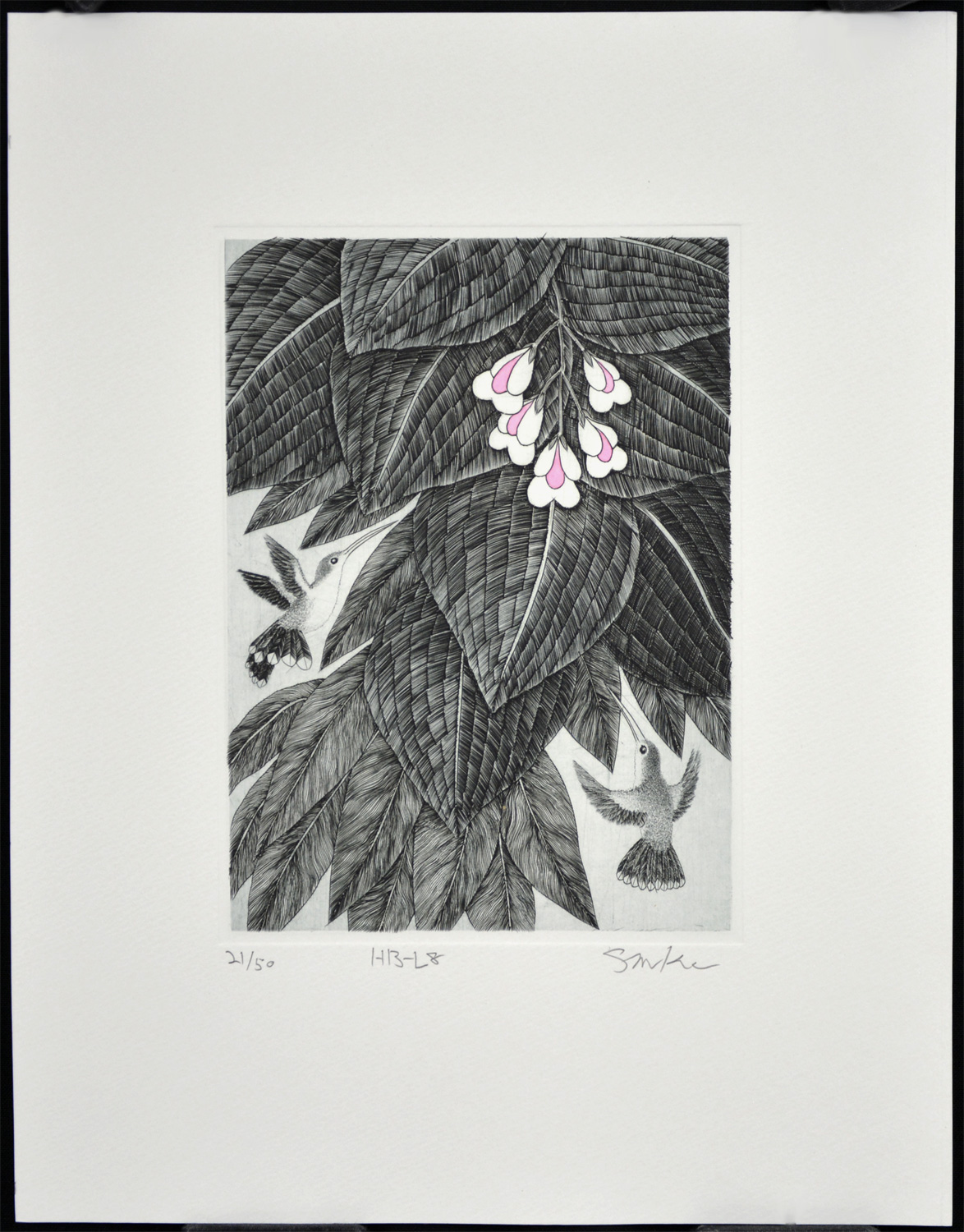 Hummingbird L8 - Image 2