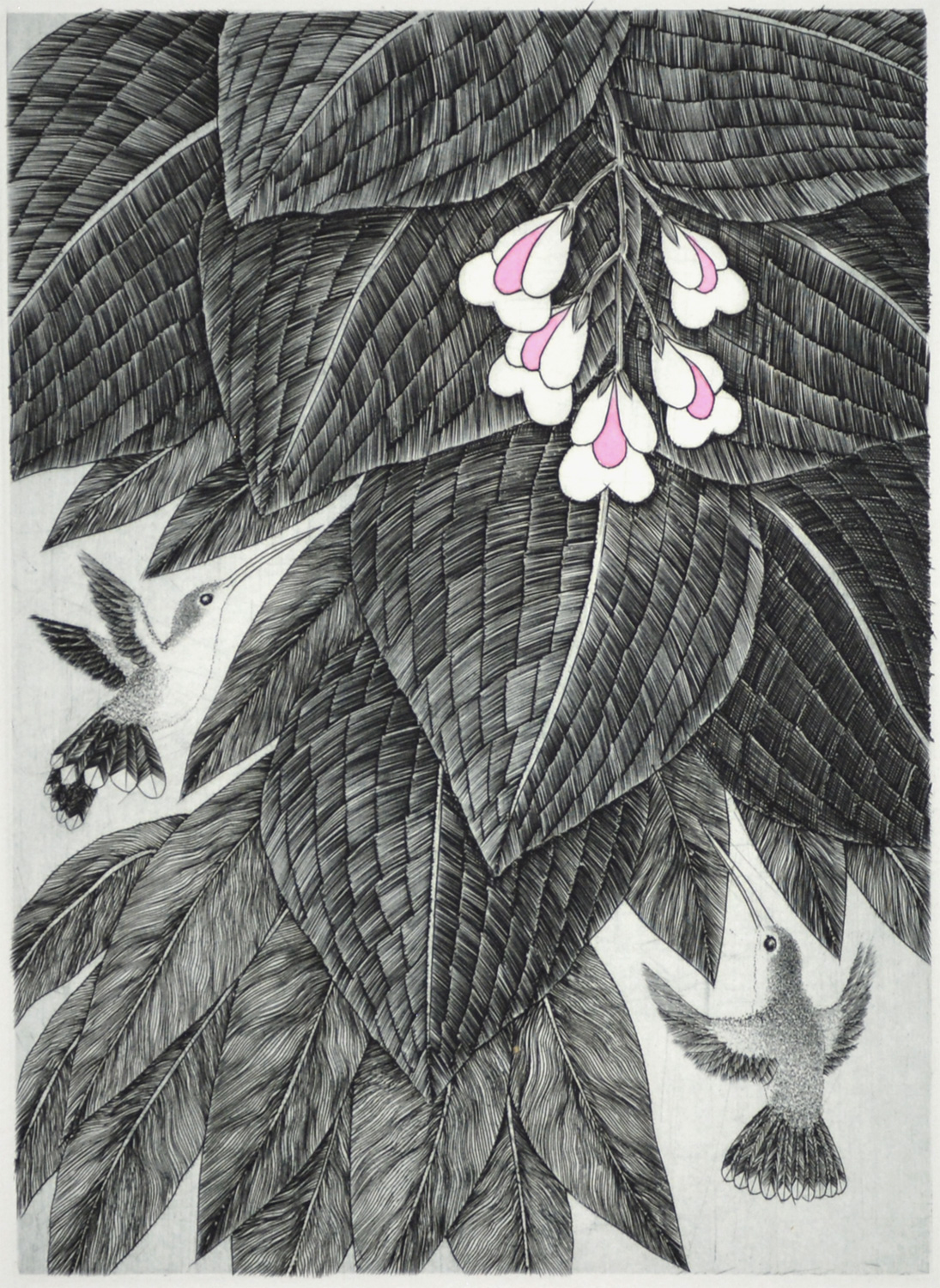 Hummingbird L8