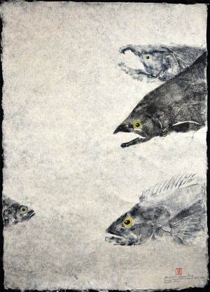 Spawning Chinook, Lingcod, Black Rockfish