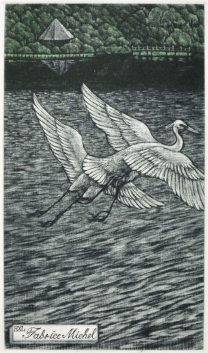 Fly Away (Ex Libris)