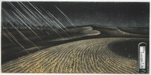 Rain of Grace (Ex Libris)