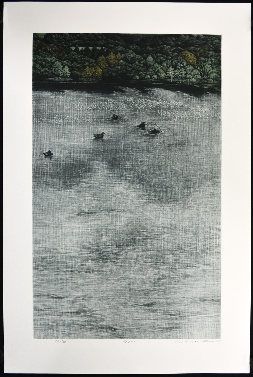Shore - Image 2