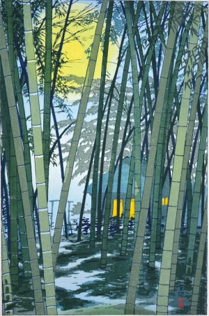 Bamboo in Early Summer